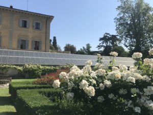 Scopri di più sull'articolo Study tour alle Serre Torrigiani di Firenze